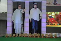 Legend 400 days Celebrations at Yemmiganur Photos